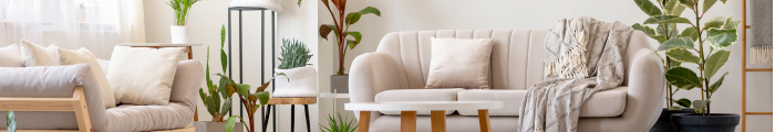 Zwei Bilder von Wohnzimmern mit weiß als Hauptfarbe und Pflanzen 